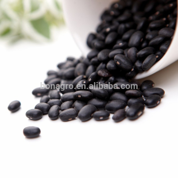 good for canned food black kidney bean