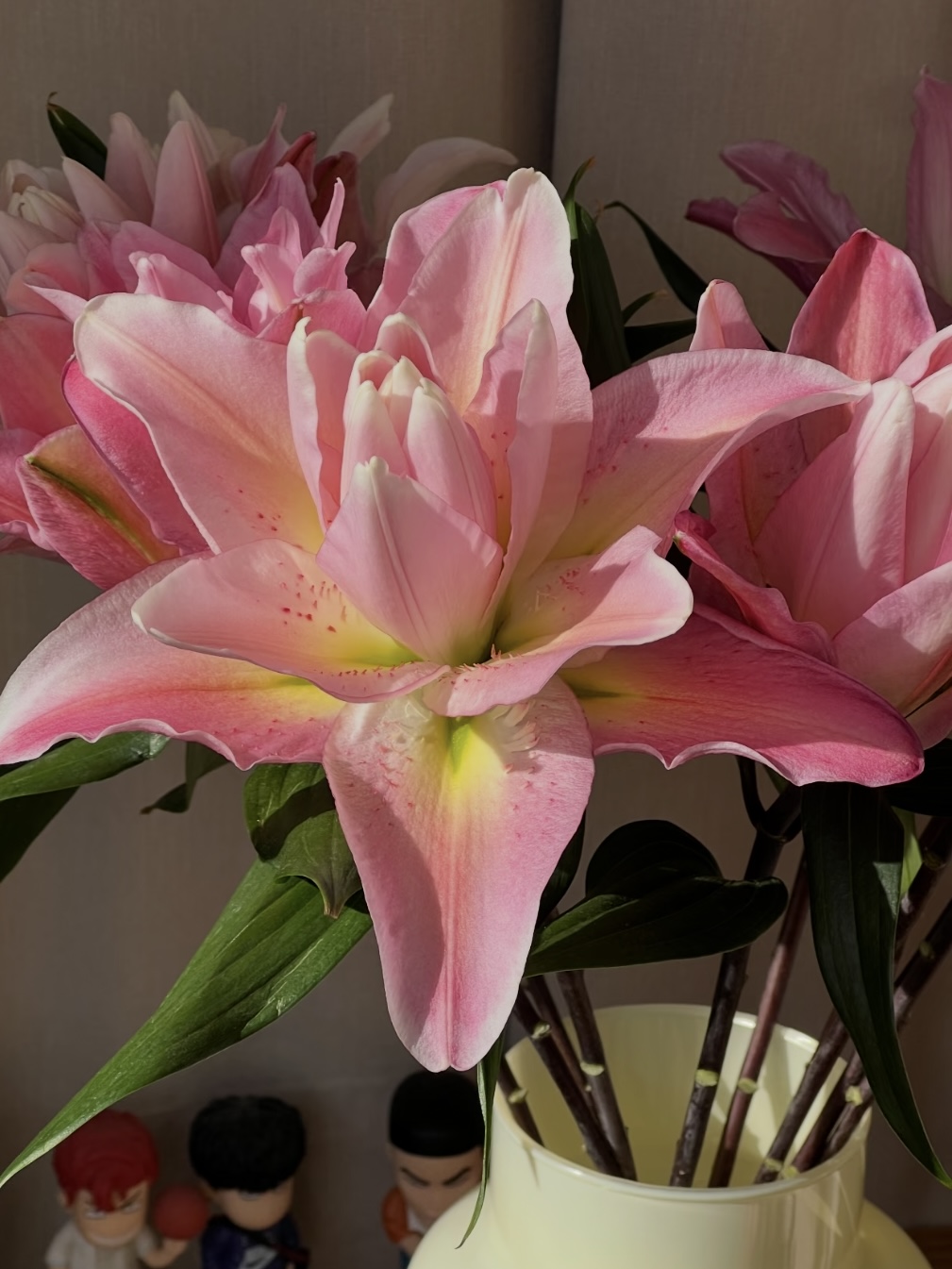 Lucky Eros Double Lily4