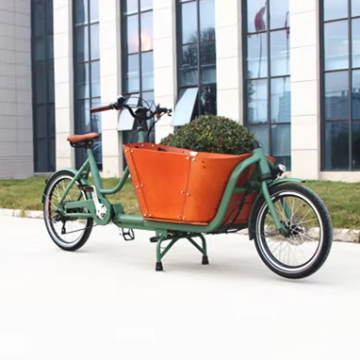Hot Selling 2-Wheel Electric Cargo Bikes for Carrying Children