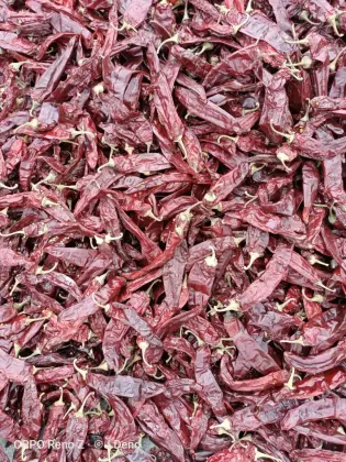 New Harvest Crop Dry Whole Sweet Paprika