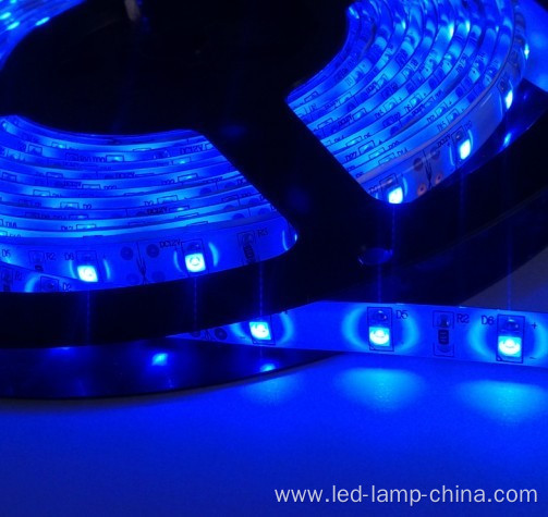 12v 16w 2400k Warm White 3m Tape SMD5630 LED Strip Light