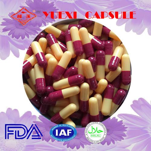 Wholesaler Bulk Gelatin Capsules Mosaic Shell For Taple Top Halal