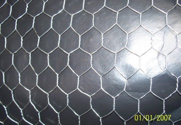 Gümüş Rengi Galvanizli Tavukçuluk Netliği