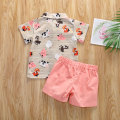 Summer Toddler Kids Baby Boy Animal Print Shirt Top Short Pants Outfits Clothes 2PCS Set