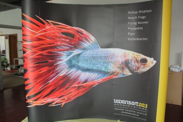 manufacture new style single magnetic pop up display