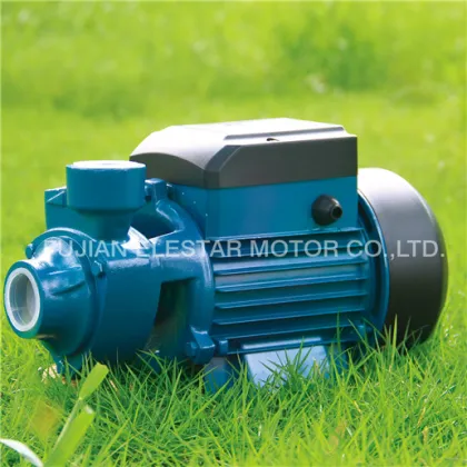 Iron cast peripheral Votex  water pump