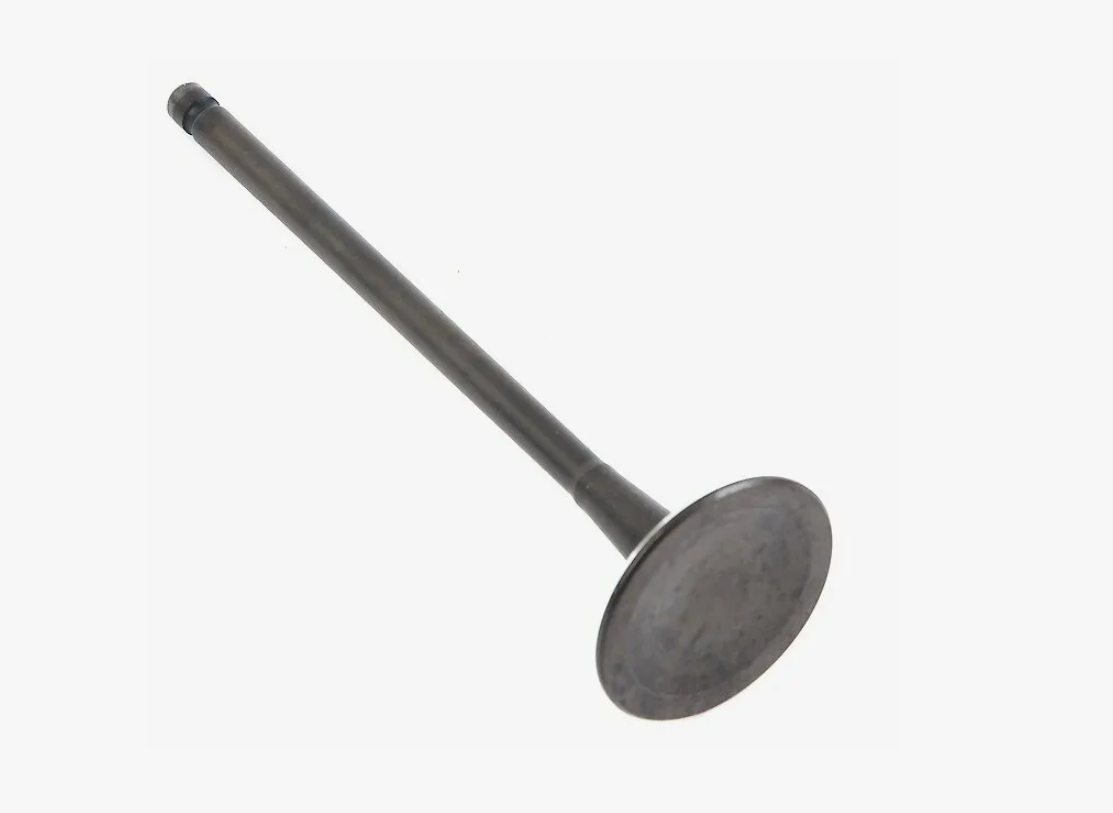 036109601AD Intake Valve for Engine