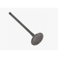 High Performance Intake Valves
