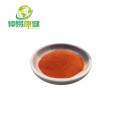 Extracto de tomate en polvo de tomate secado