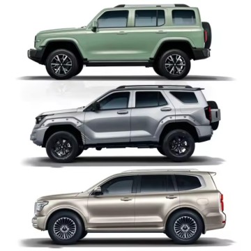 2023-2024 Murah Cina KELUARGA KELUARGA KELUARGA KELUARGA SUV GWM 300/400/500 HI4-T OFF-ROAD SUV untuk dijual