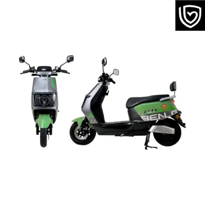 FZ5 Fuyao Dynamic Edition: Stylish Urban Electric Scooter