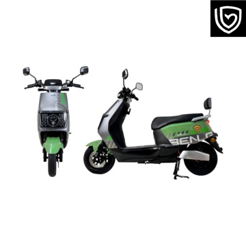 FZ5 Fuyao Dynamic Edition: Stylish Urban Electric Scooter