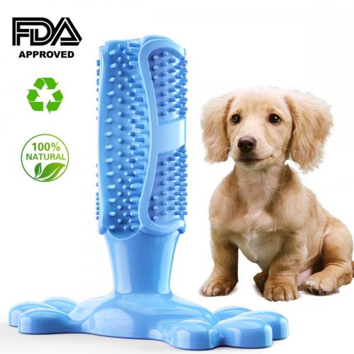 Nouveau design de brosse à dents de chien classique