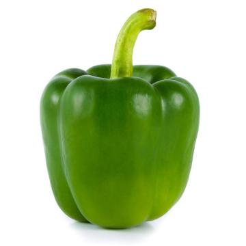Fresh green color bell pepper