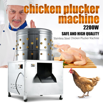Máquina de arrancar frango para venda: Remoção e limpeza de penas