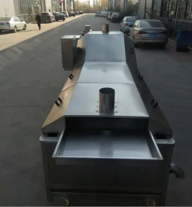 Fruit and Vegetable Blanching Machine - Papaya Blanch Machine