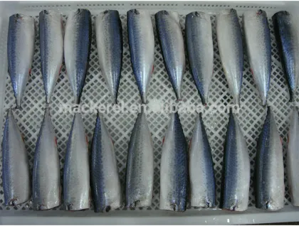 Frozen Seafood Pacific Mackerel Hgt Fish