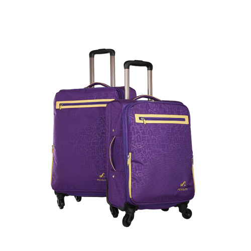 Compass Fabric Trolley Case bagagem 2 peças