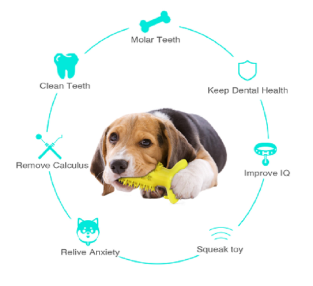 Tooth Cleaning For Dog Details 1