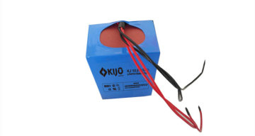 12.8V Lithium ion Battery