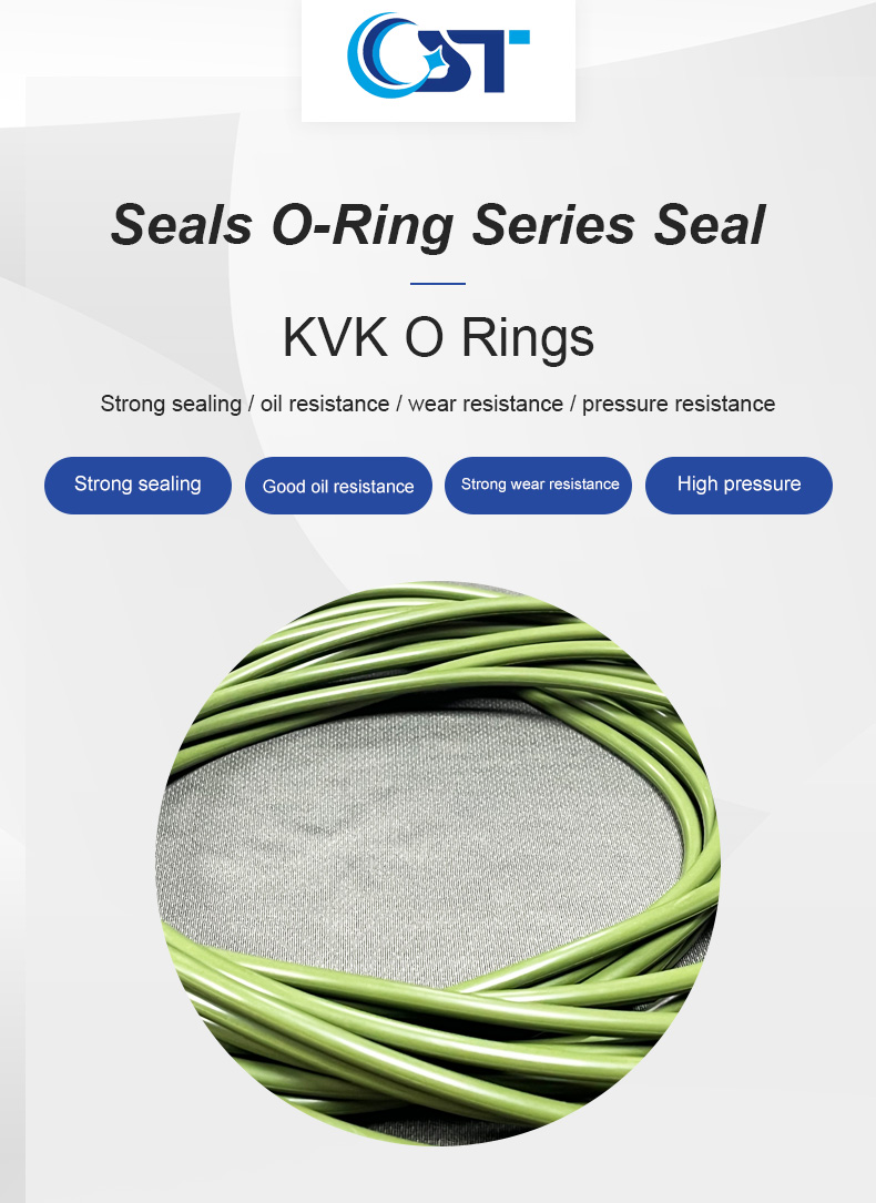 P Series O Rings