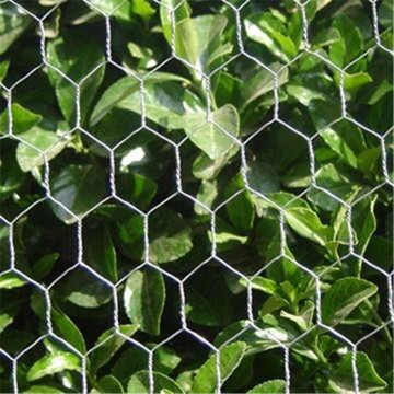 Chicken Wire Netting hexagonal mesh holes Galvanized