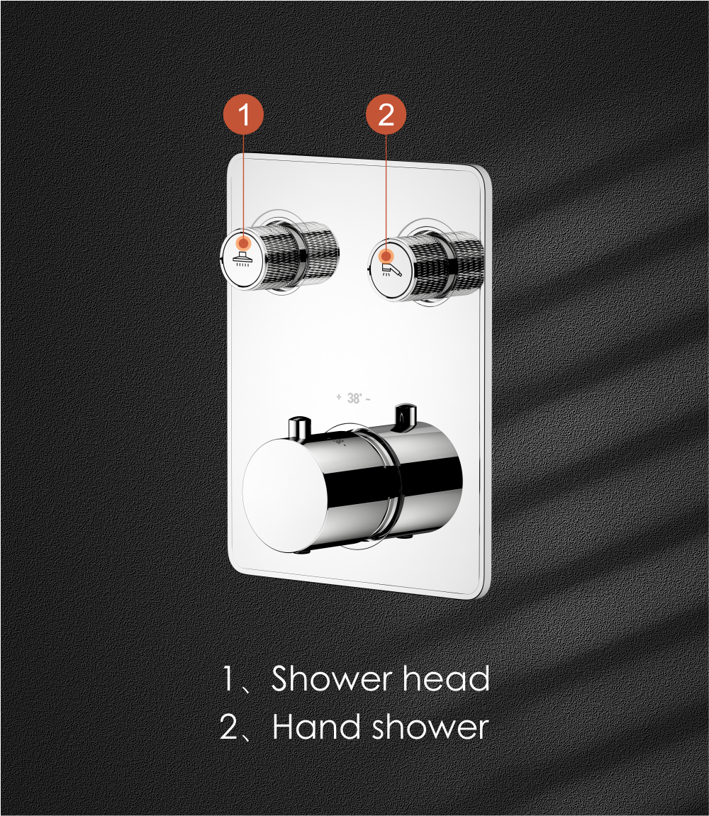 2 Outlets Switch Concealed Shower Mixer Valve