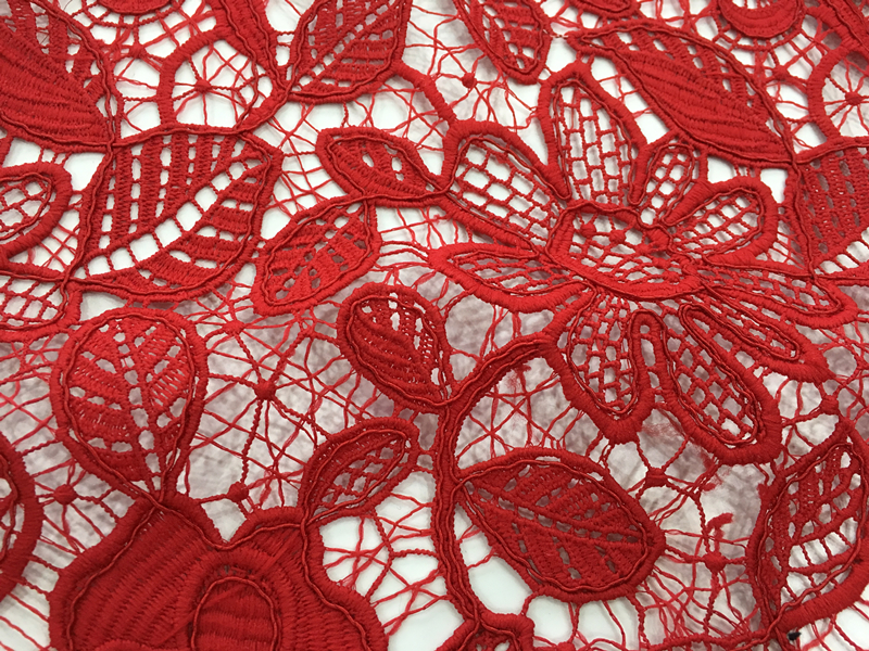 Hot Fashion Cord Embroidery Fabric