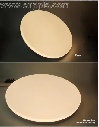 Wholesales daylight LED ceiling light ,hot sale make in china best price dalen led ceiling light, restaurant Ceiling light