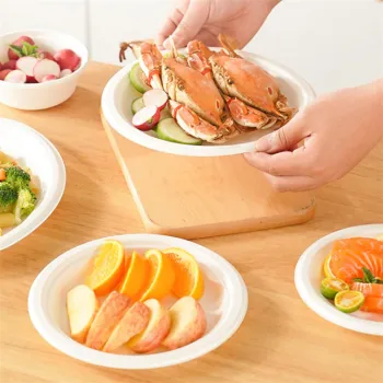 Disposable Sugarcane Bagasse Plates Tableware Dish