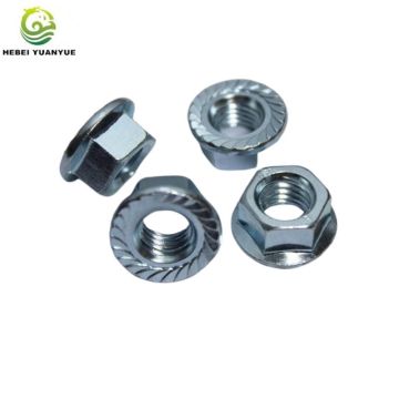 Automobile flange wheel nuts