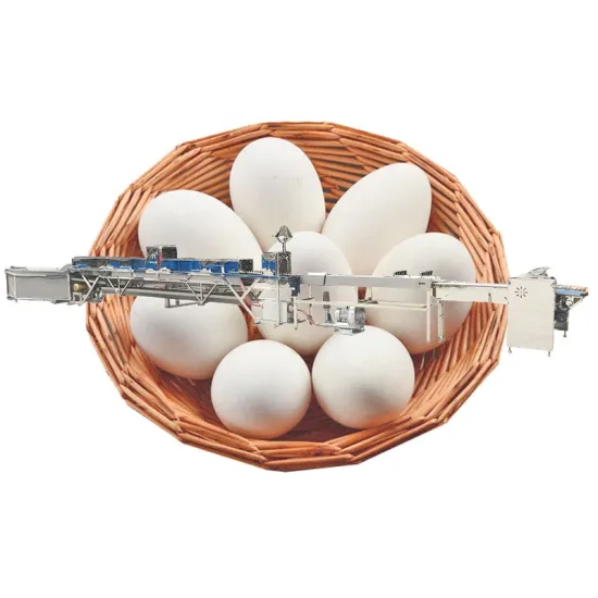 Egg Washing Machine: Automatic 5000-15000 Pcs/H Cleaning Drying Machine