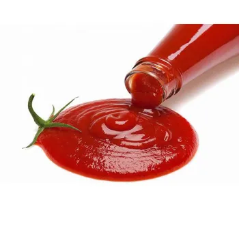 Tianchu ODM and OEM High Quality Tomato Paste & Concentrated Tomato Sauce for Ketchup