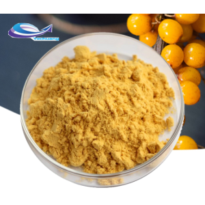 Seaberry High Quality Sea Buckthorn Extract Powder