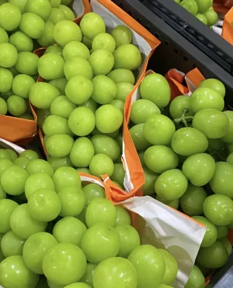 Premium Shine Muscat Grapes Fresh Harvested