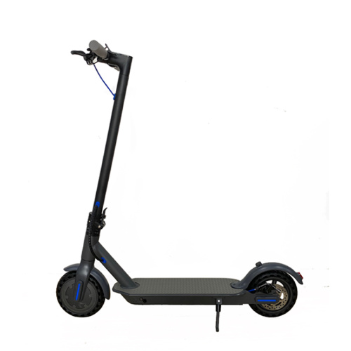 350w Powerful Motor Electric Adult Scooter