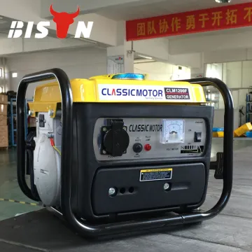 BISON(CHINA) Portable Low RPM Alternator Generator