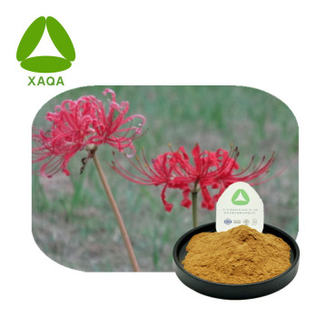 Lycoris Radiata Extract 98% 2188-68-3 Lycorine Hydrochloride