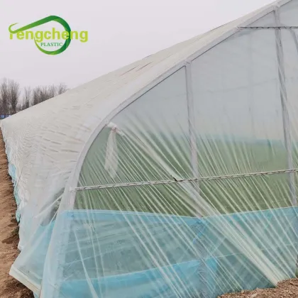 LDPE Agricultural Greenhouse Film 200 Micron