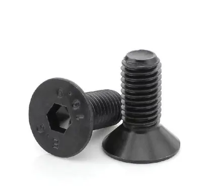 Stainless Steel Pan Head Philips Bolts