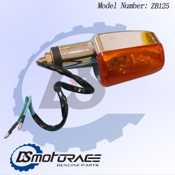 Passenger Side Turn Signal Corner Light