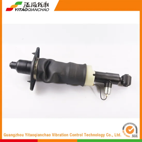 Wholesale High Quality Auto Rear Shock Absorber