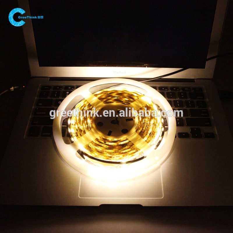 Warm White Led Decorative Light