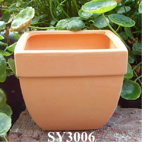 Decorative Shallow Terracotta Pots For Succulents, High Quality