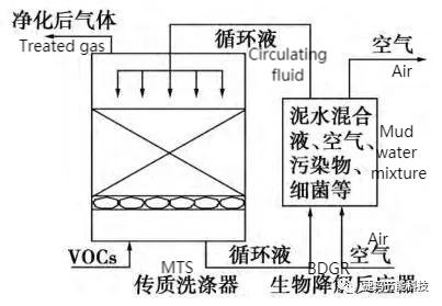 Schematic diagram of biological scrubber