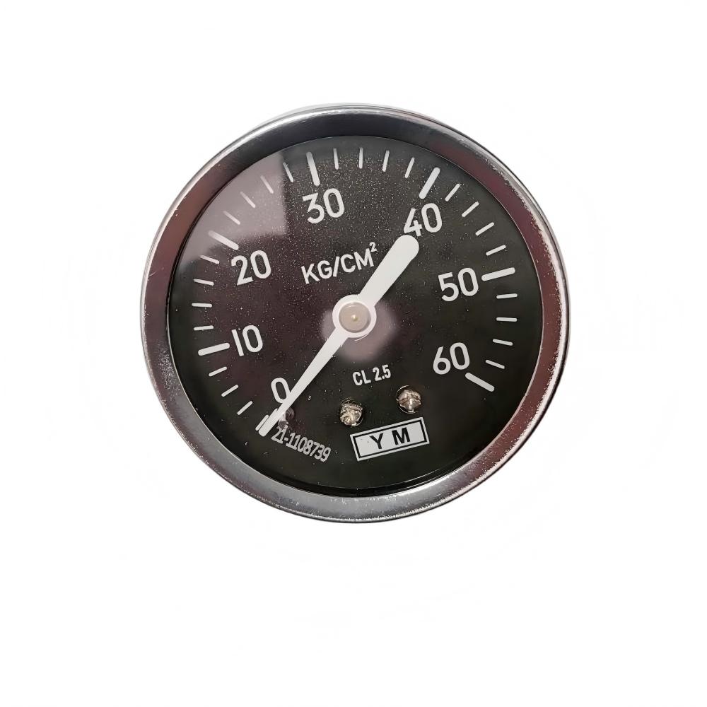 0~60kgs pressure Gage (1)