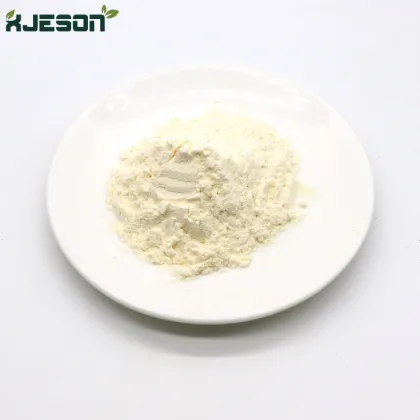 Noni Powder Noni Fruit Powder