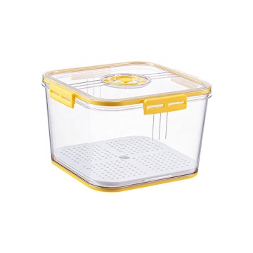 Kitchen Refrigerator Organizer Storage Box for Vegetables Drain Fresh