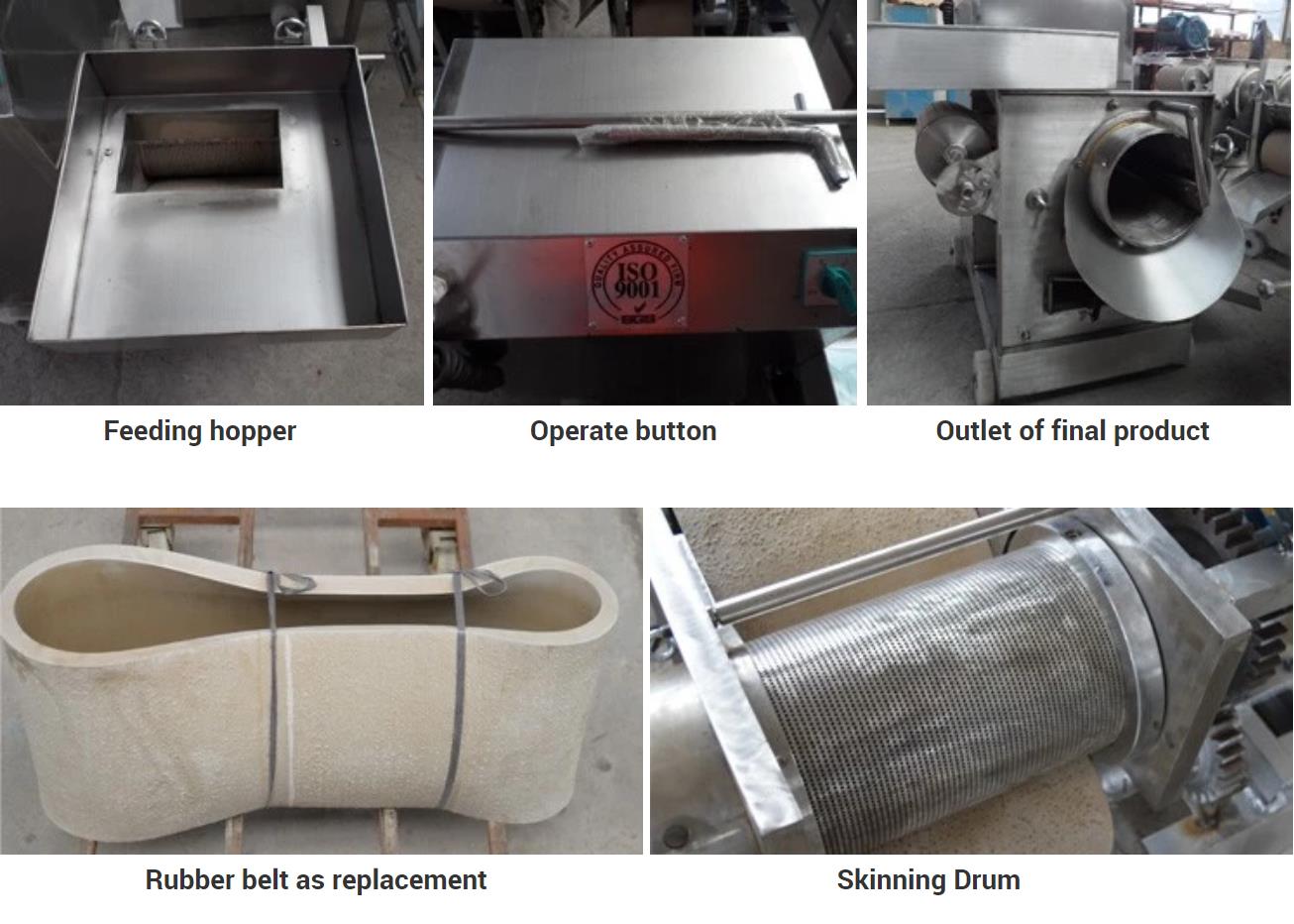 Freshwater Fish Bone Deboner Separator for Seafood Market