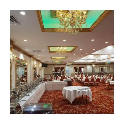 Top Quality Restaurant Axminster Wool Carpet